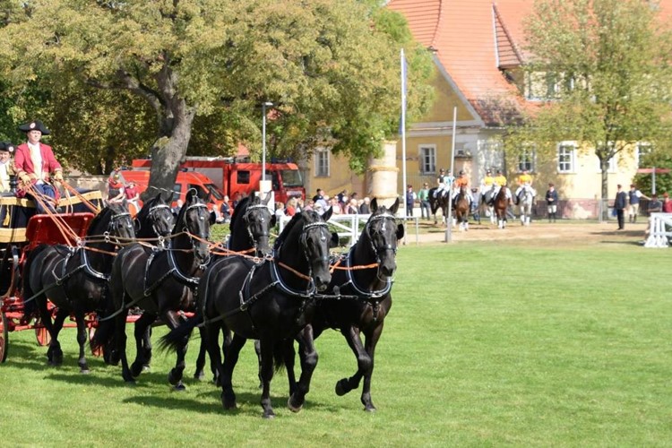 V národním hřebčínu v Kladrubech se uskuteční tradiční Hubertova jízda