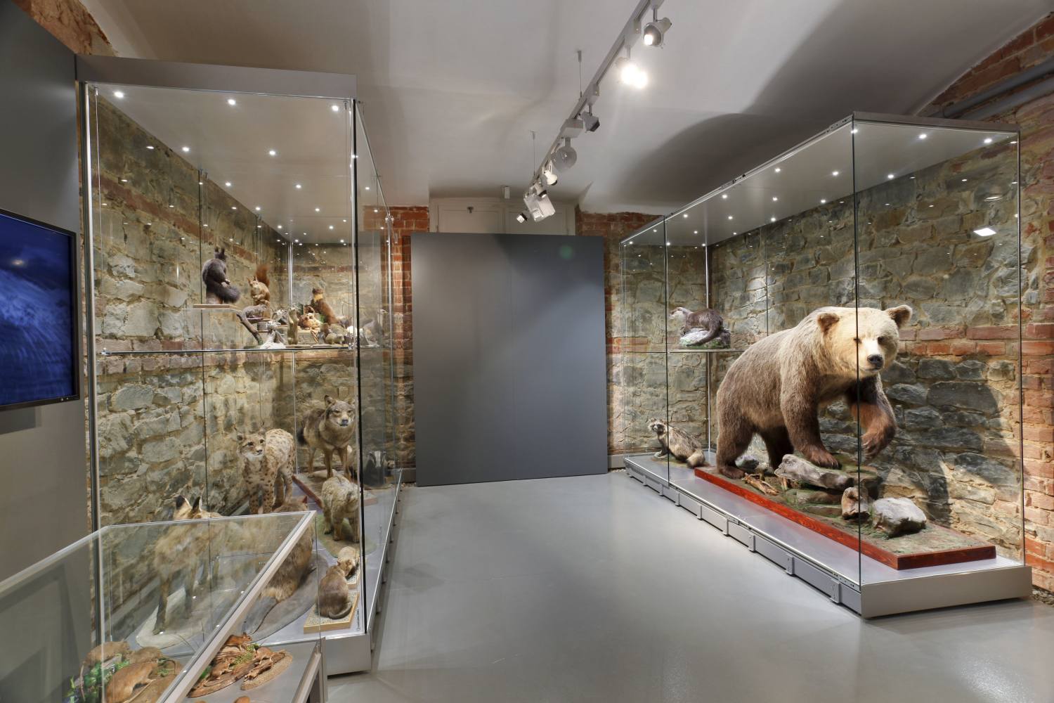 Historická výstavní budova - Slezské zemské muzeum