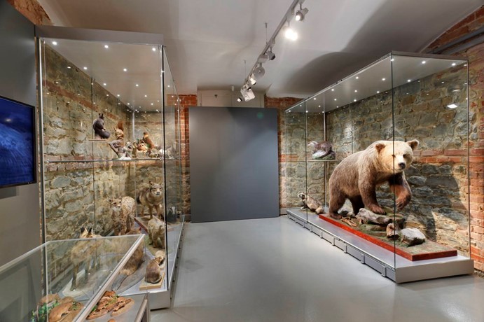 Historická výstavní budova - Slezské zemské muzeum