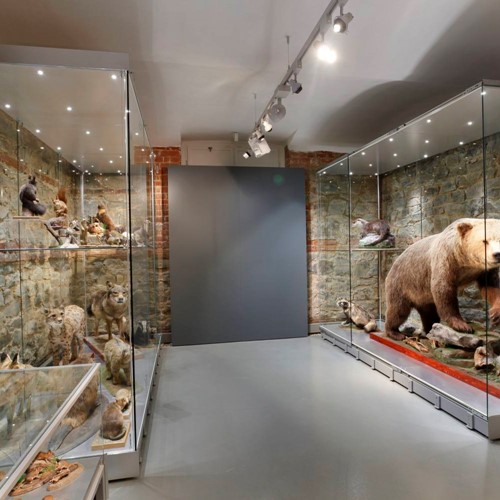 Historická výstavní budova (Slezské zemské muzeum)