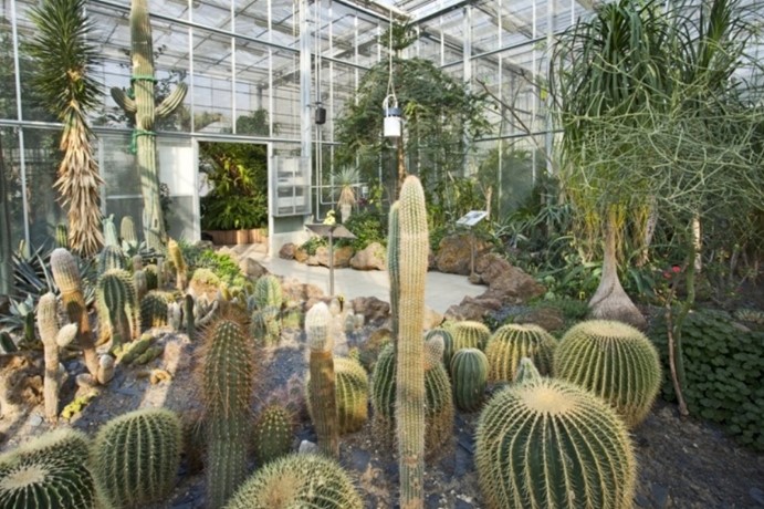 Arboretum Nový Dvůr -Slezské zemské muzeum