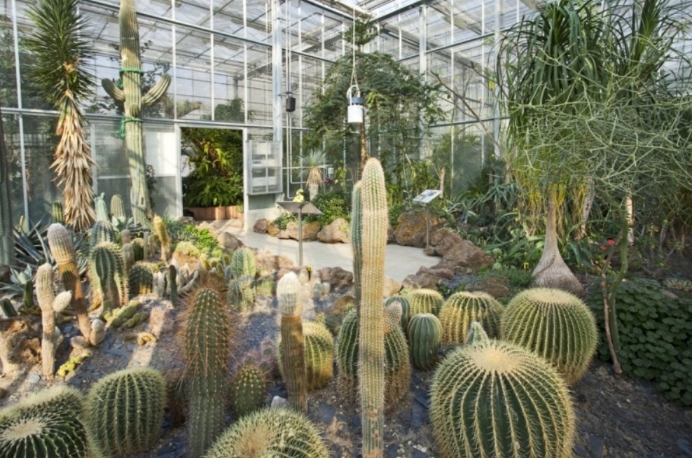Arboretum Nový Dvůr -Slezské zemské muzeum