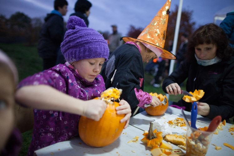 Kam vyrazit na Halloween a dlabání dýní? Určitě do trojské botanické zahrady