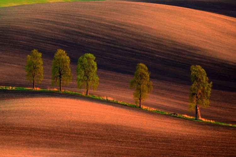 Výstava fotografií zachycuje nádhernou krajinu jižní Moravy