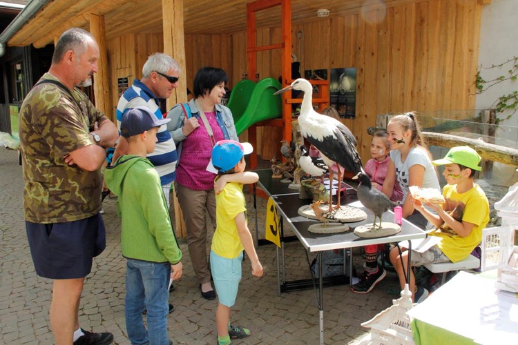 Zoo Hluboká připravuje na sobotu bohatý program. Děti si vytvoří masku tygra, medvěda či plameňáka