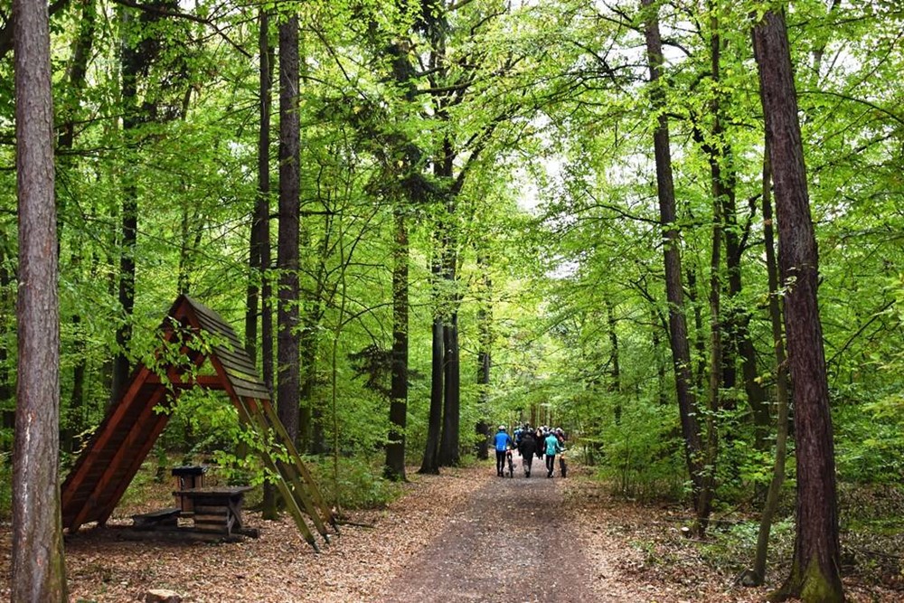 Nová naučná stezka v oblasti Zábělá. Turisté tady najdou 12 informačních tabulí. 