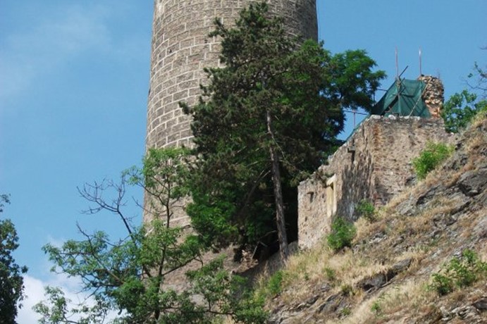 Rozhledna Žebrák