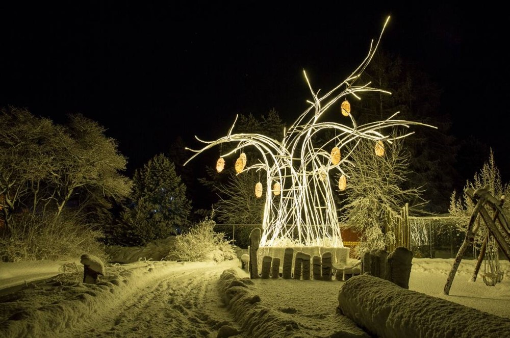 Rozsvícená baobab v zasněžené zoo ve Dvoře Králové nad Labem. 
