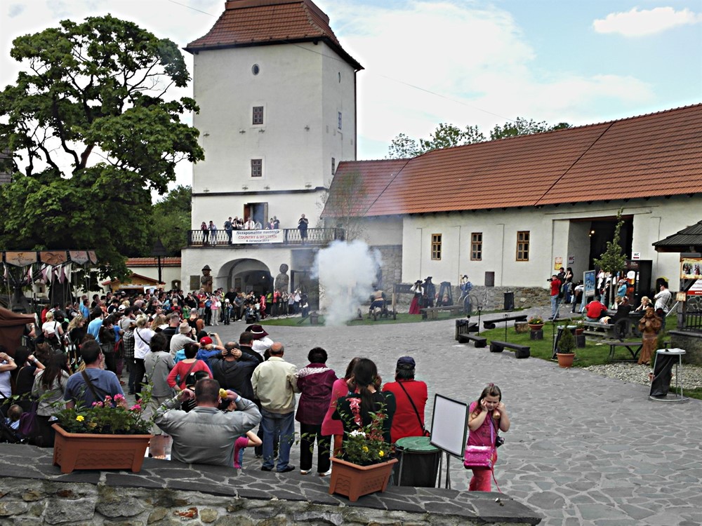 Slezskoostravský hrad