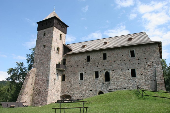 Hrad Litice