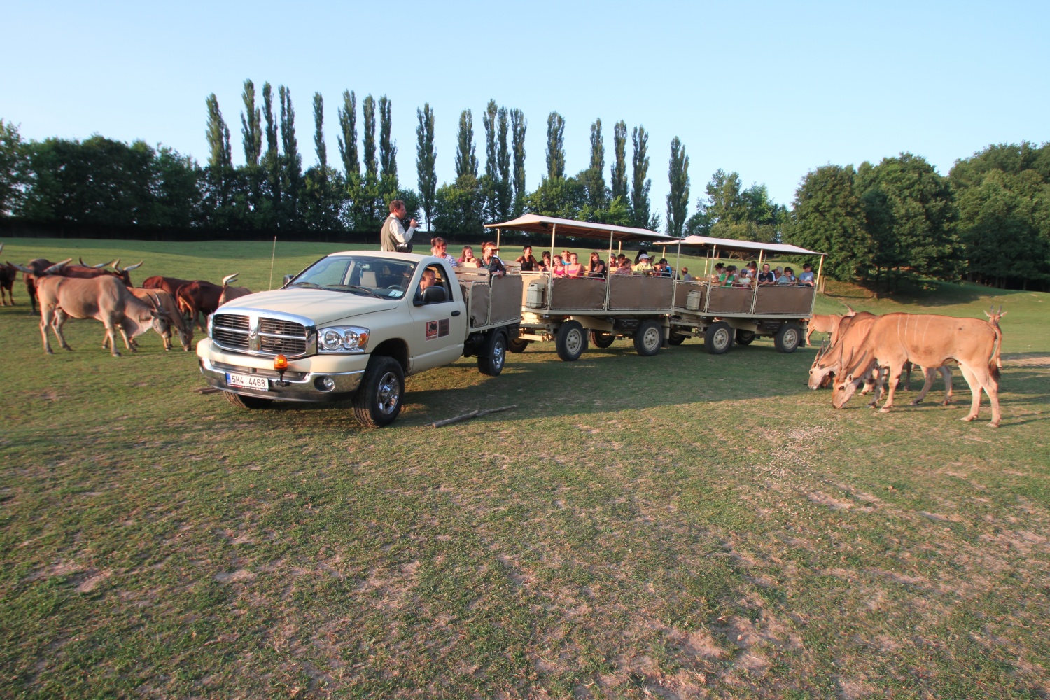 Safari Park Dvůr Králové