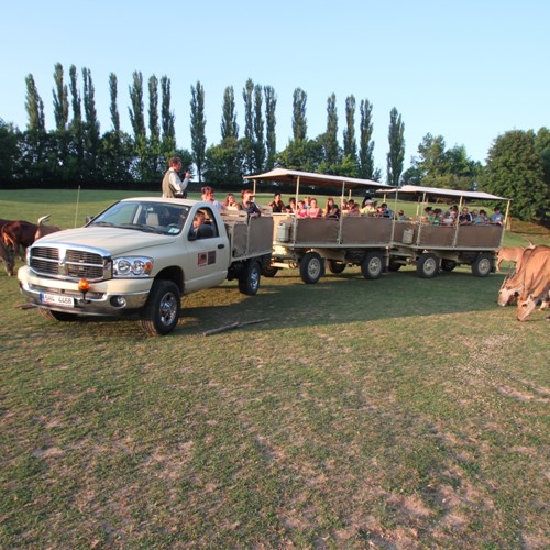 Safari Park Dvůr Králové