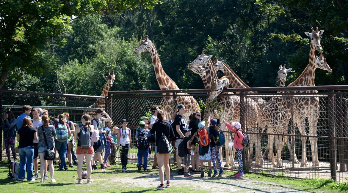 Zoo Olomouc