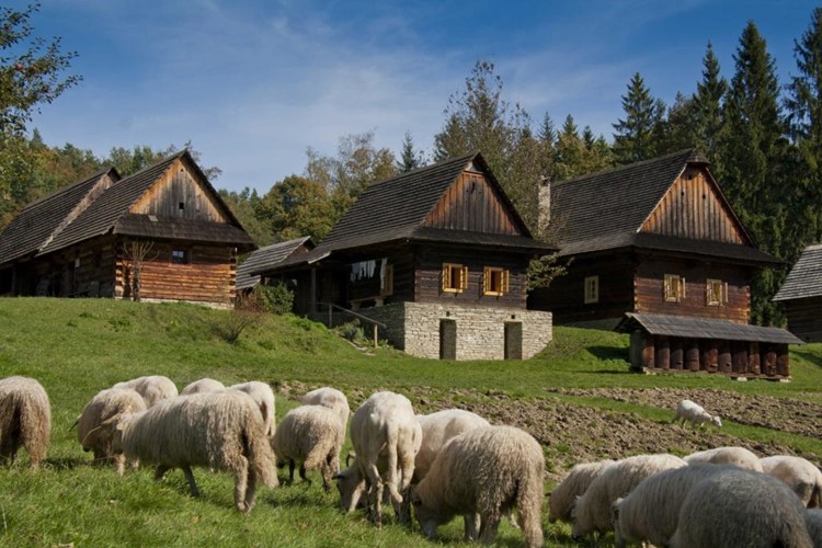 Do Rožnova se sjeli světoví interpreti ve hře na Panovu flétnu