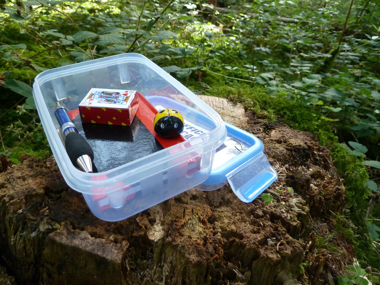 Geocaching: Každá schránka může ukrývat nějakou zajímavost