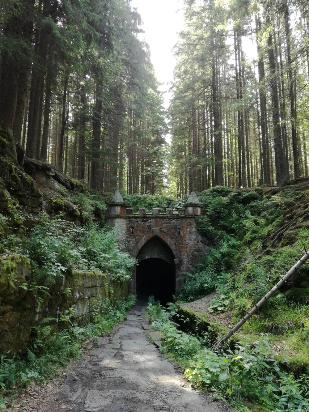 Jelení vrchy.
