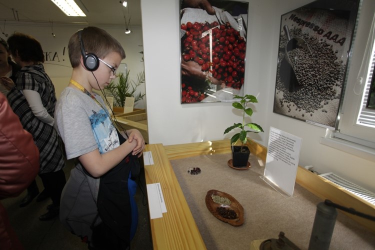 Botanická zahrada připravuje tradiční výstavu pro všechny smysly v mezinárodním týmu