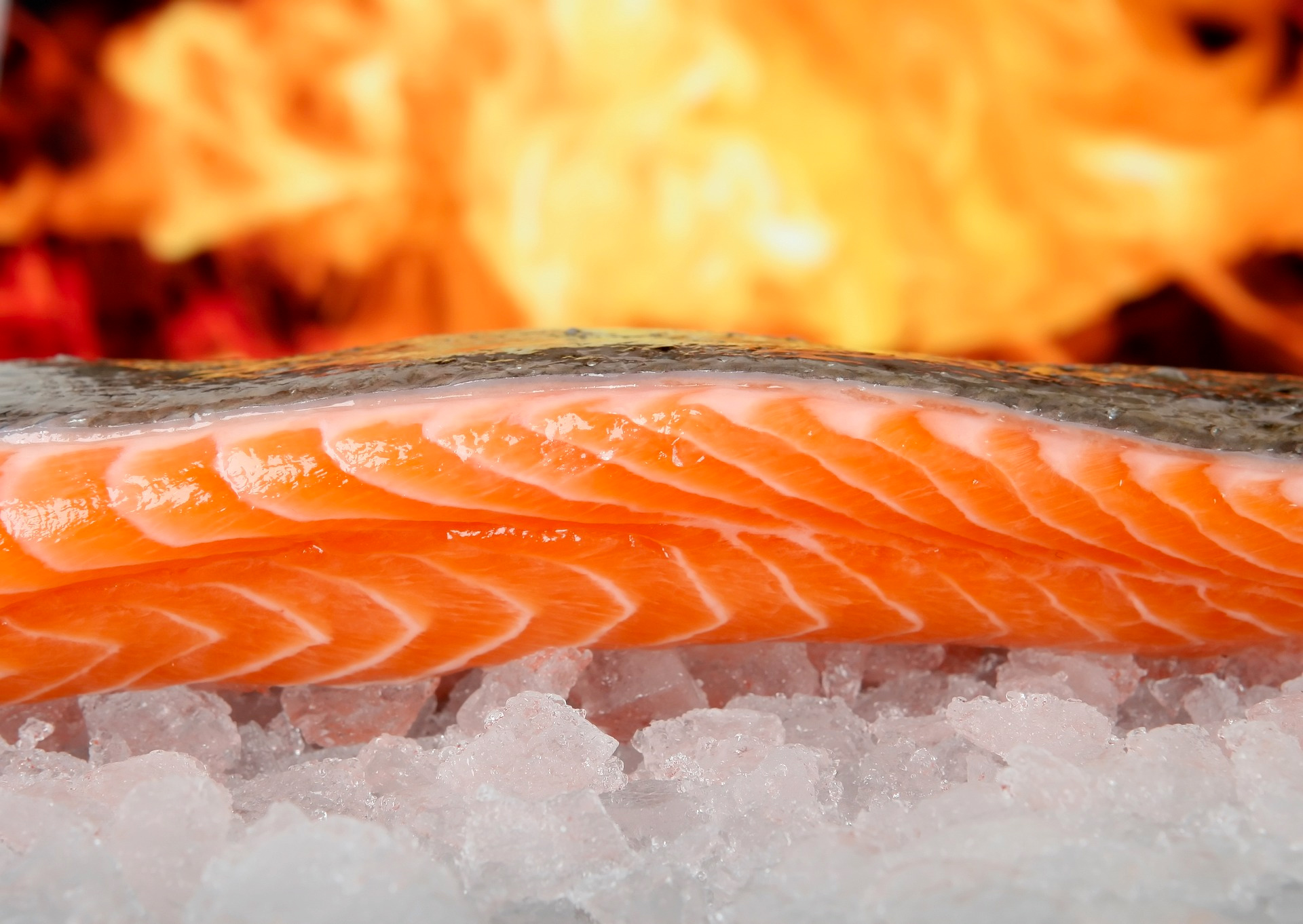 Losos jako zdroj omega-3 kyselin nestačí