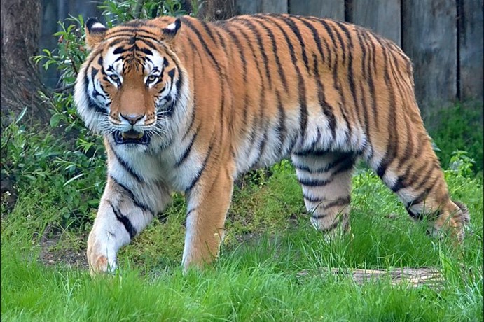 Zoo Hodonín