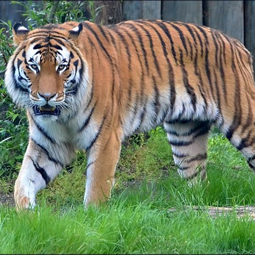 Zoo Hodonín
