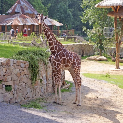 Zoo Jihlava
