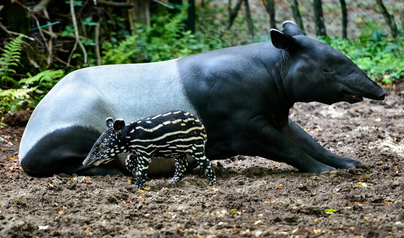 Zoo Zlín