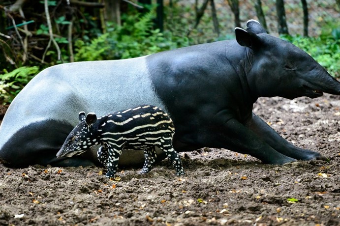 Zoo Zlín