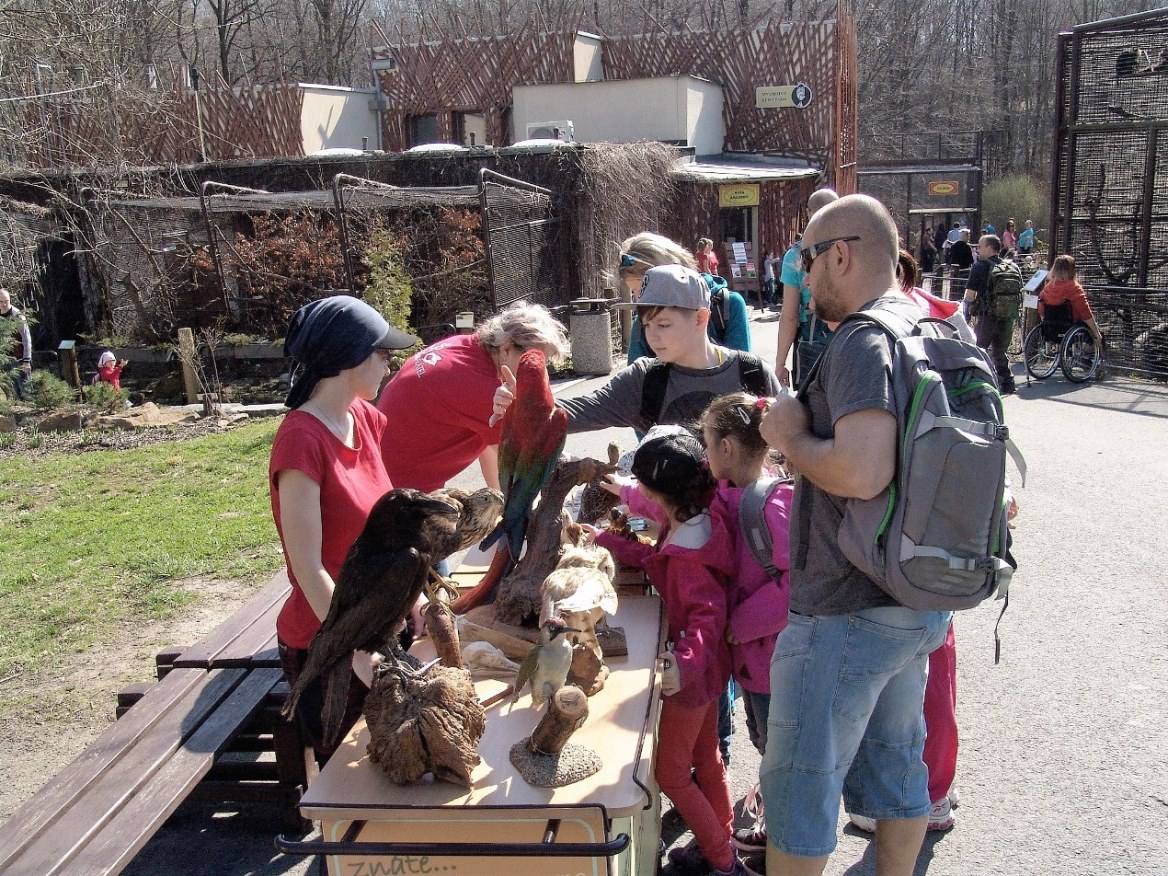 Zoo Ostrava oslaví Den ptactva sníženým vstupným pro nositele ptačích příjmení