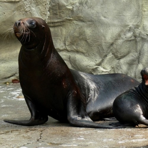 Zoo Liberec