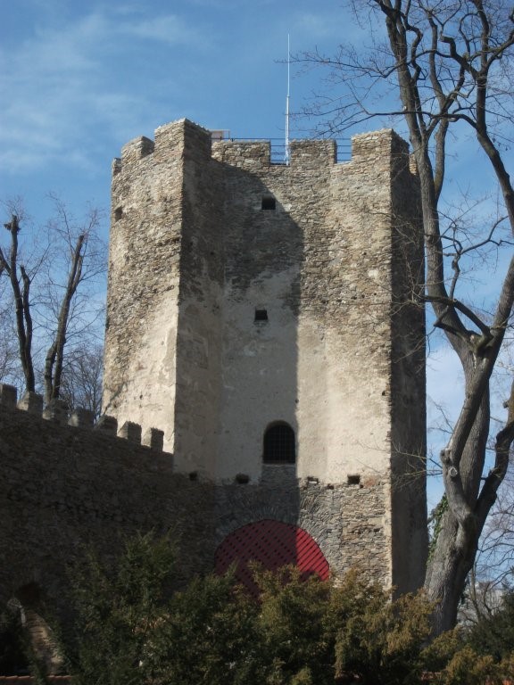 Kolowratská věž
